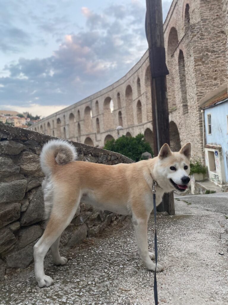 Начало Kavala 2026 3pgfbvmquk 768x1024