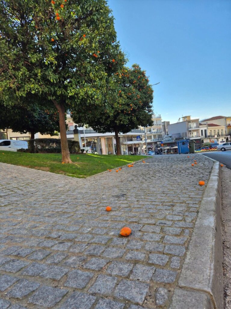 Кавала Лято Kavala – Taki