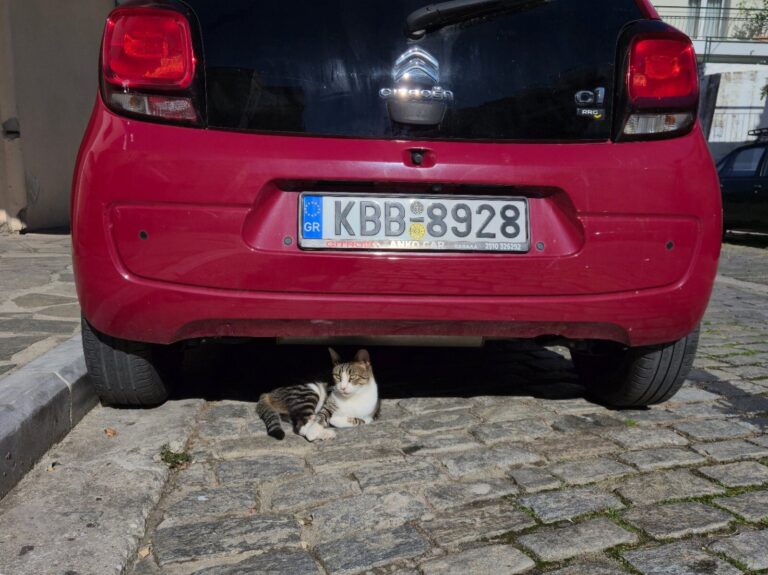 Kavala 2026 Dv2yvgpjeh 768x575