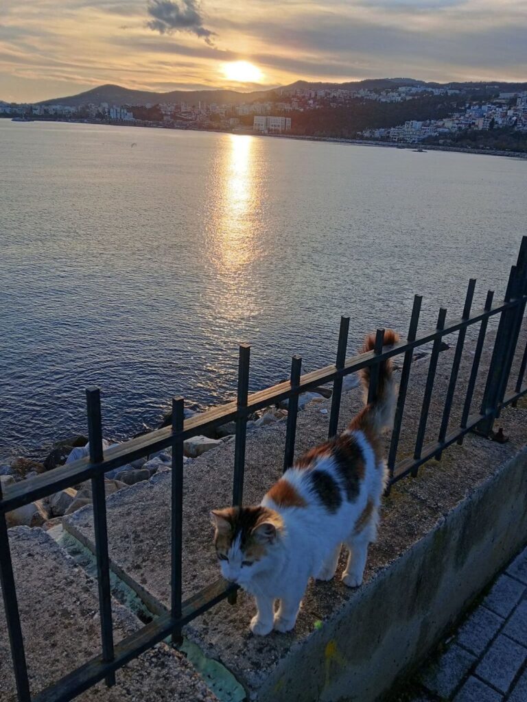 Kavala 2026 T947n0hxs6 768x1024